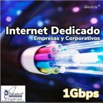 SERVICIO INTERNET PREMIUM DEDICADO